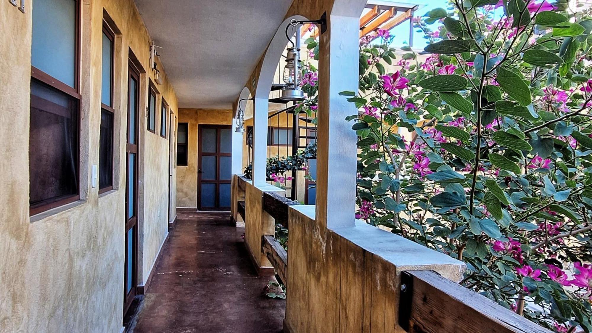El Descanso Barrio Del Artista *